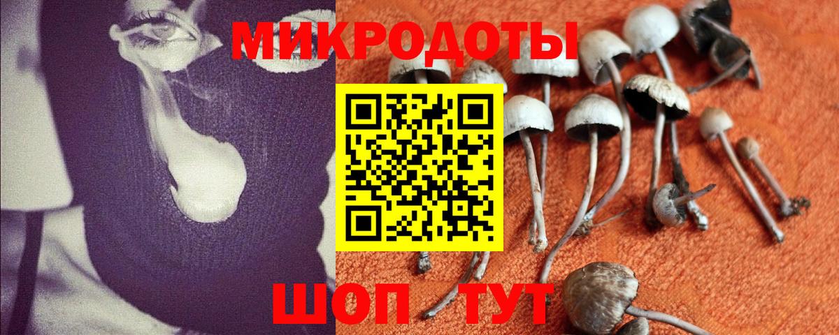 Галлюциногенные грибы прущие грибы Пугачёв
